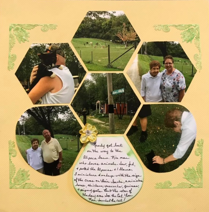 Honey Comb 15 – Debra Arnold