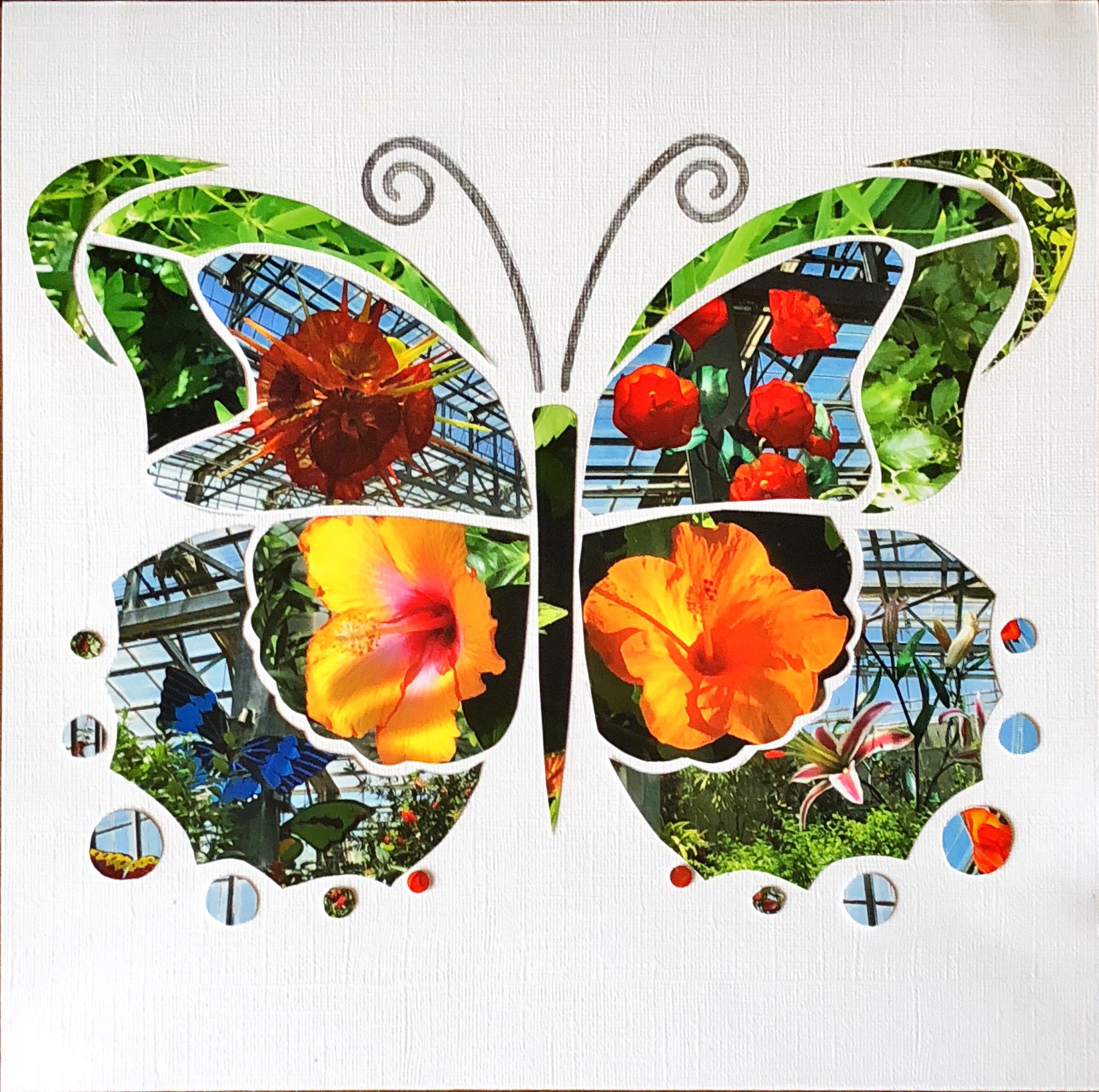 FlipFlop Butterfly 3 – Linda Gallacher