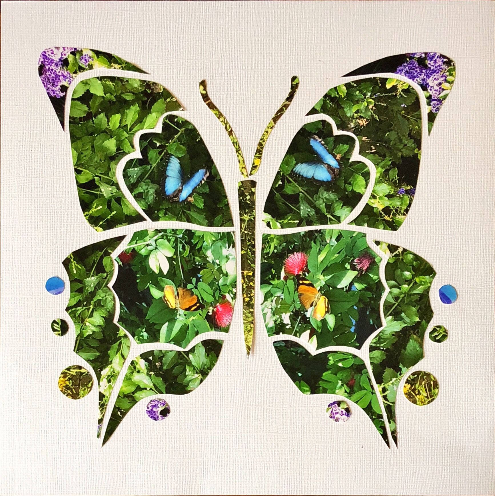 FlipFlop Butterfly 4 – Linda Gallacher