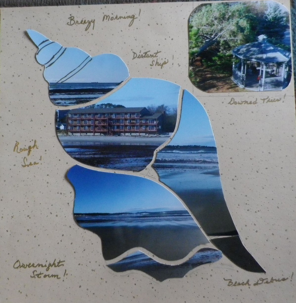 Shellfish 22 – Katherine Brown Pond