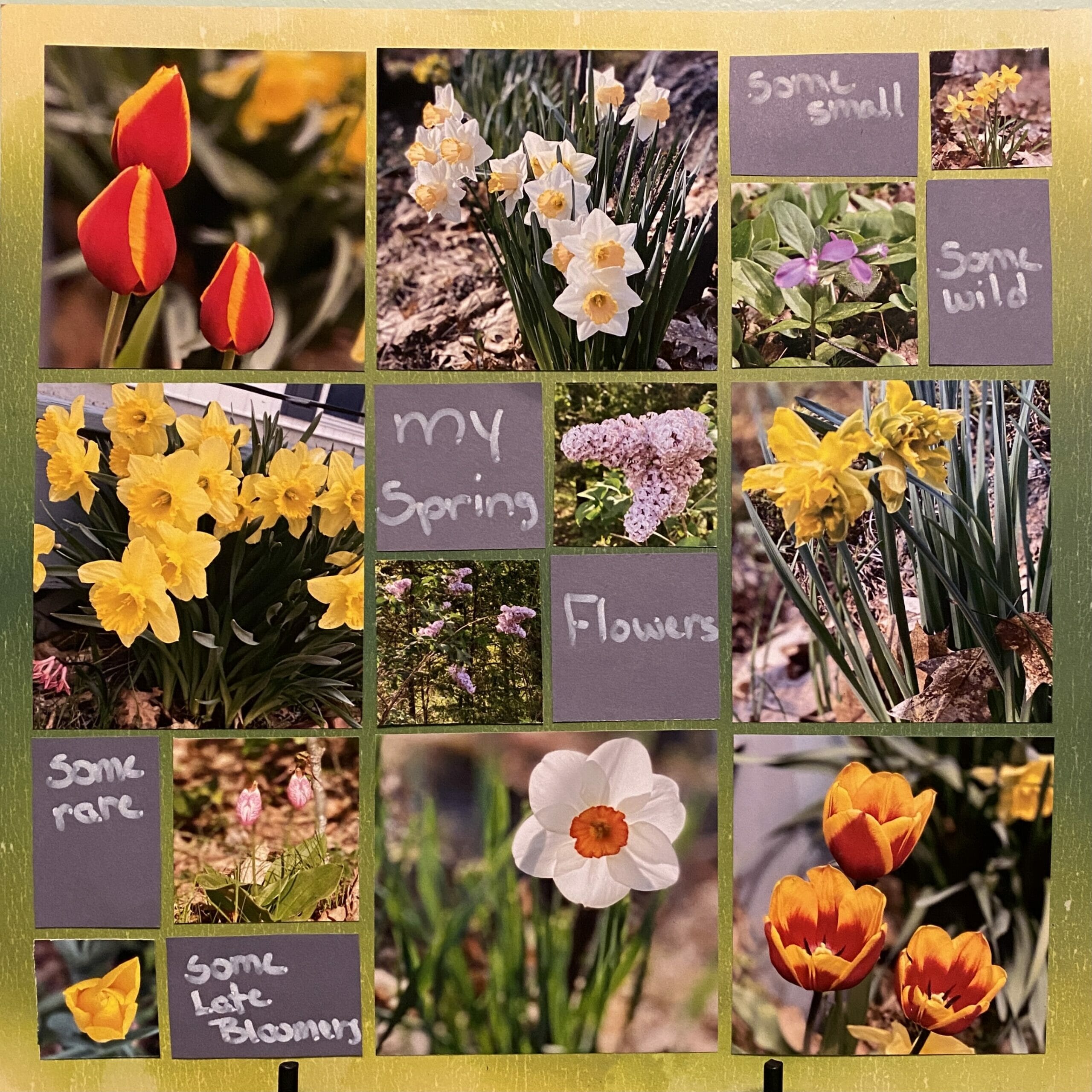 Patchwork 175 – Betsy Whipple