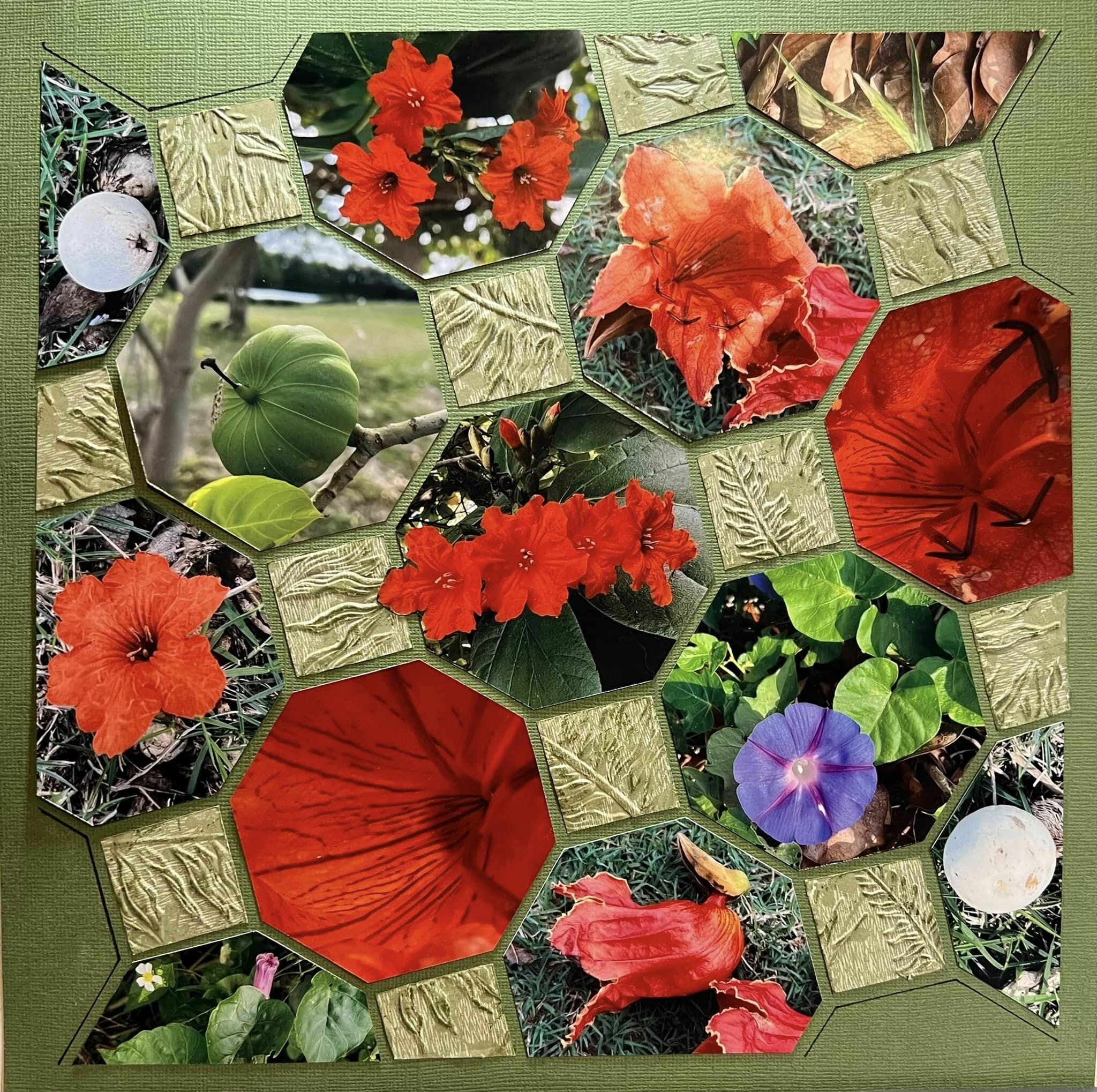 Picture Perfect 4 – Janet Oegema