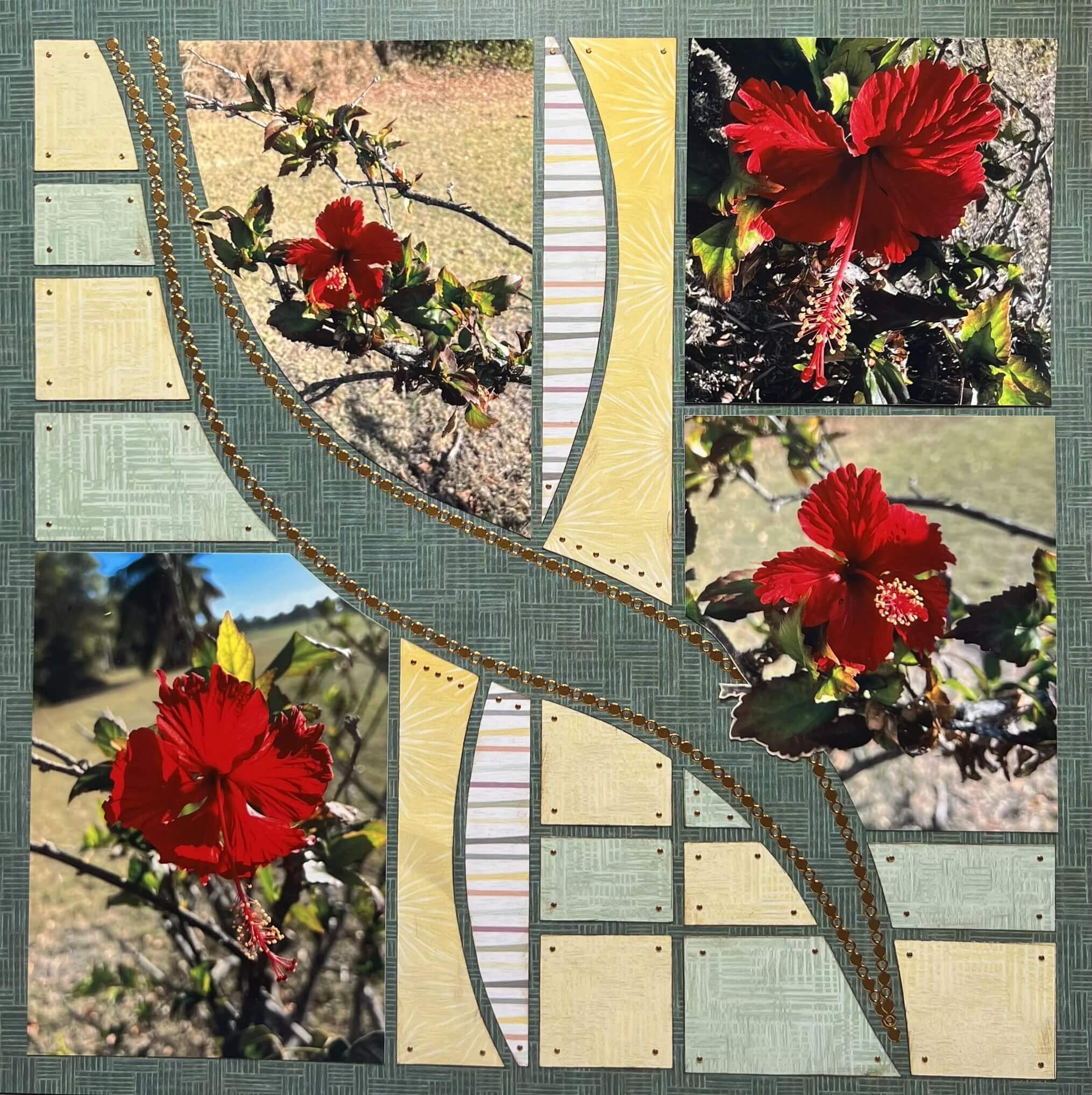 Angel Wings 55 – Janet Oegema