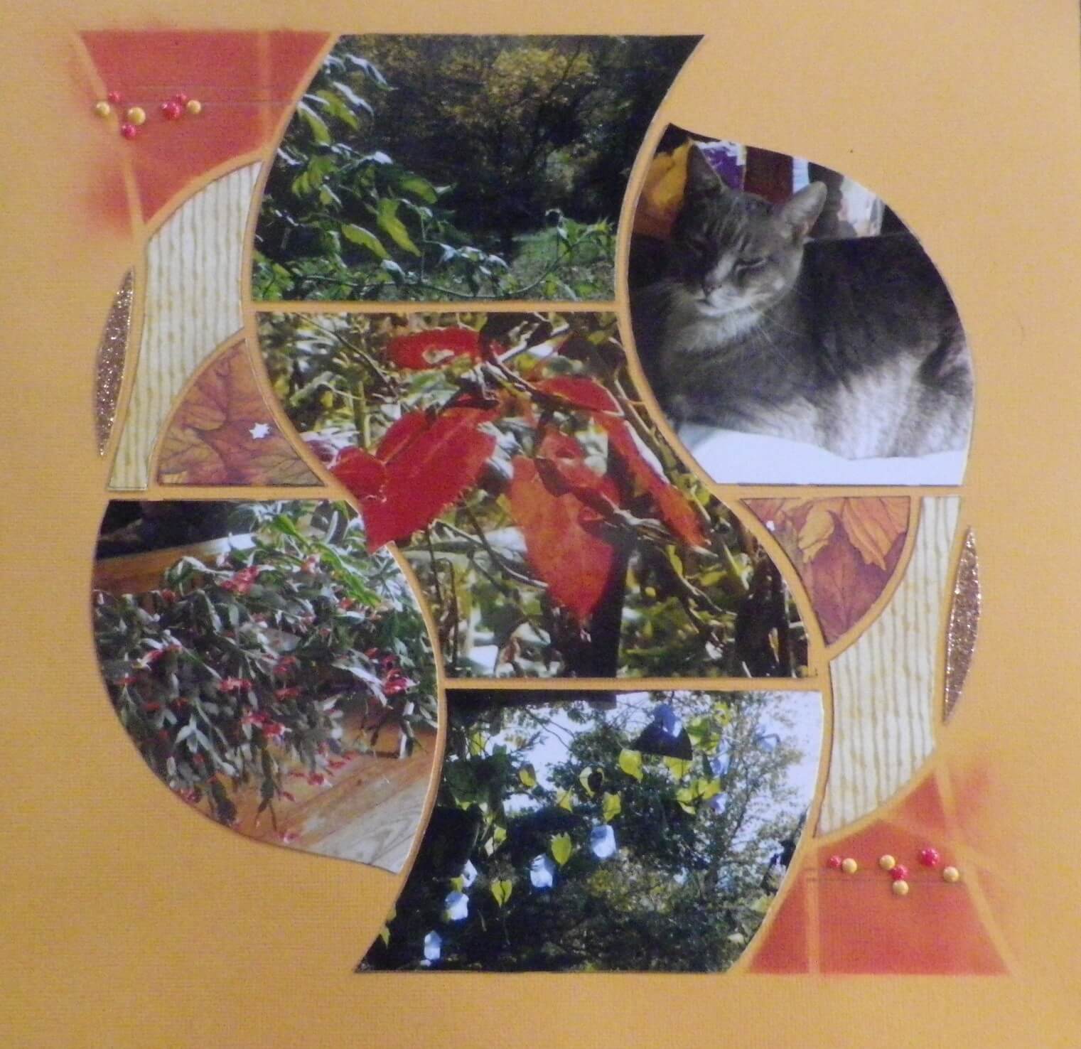 Oriental 22 – Katherine Brown Pond