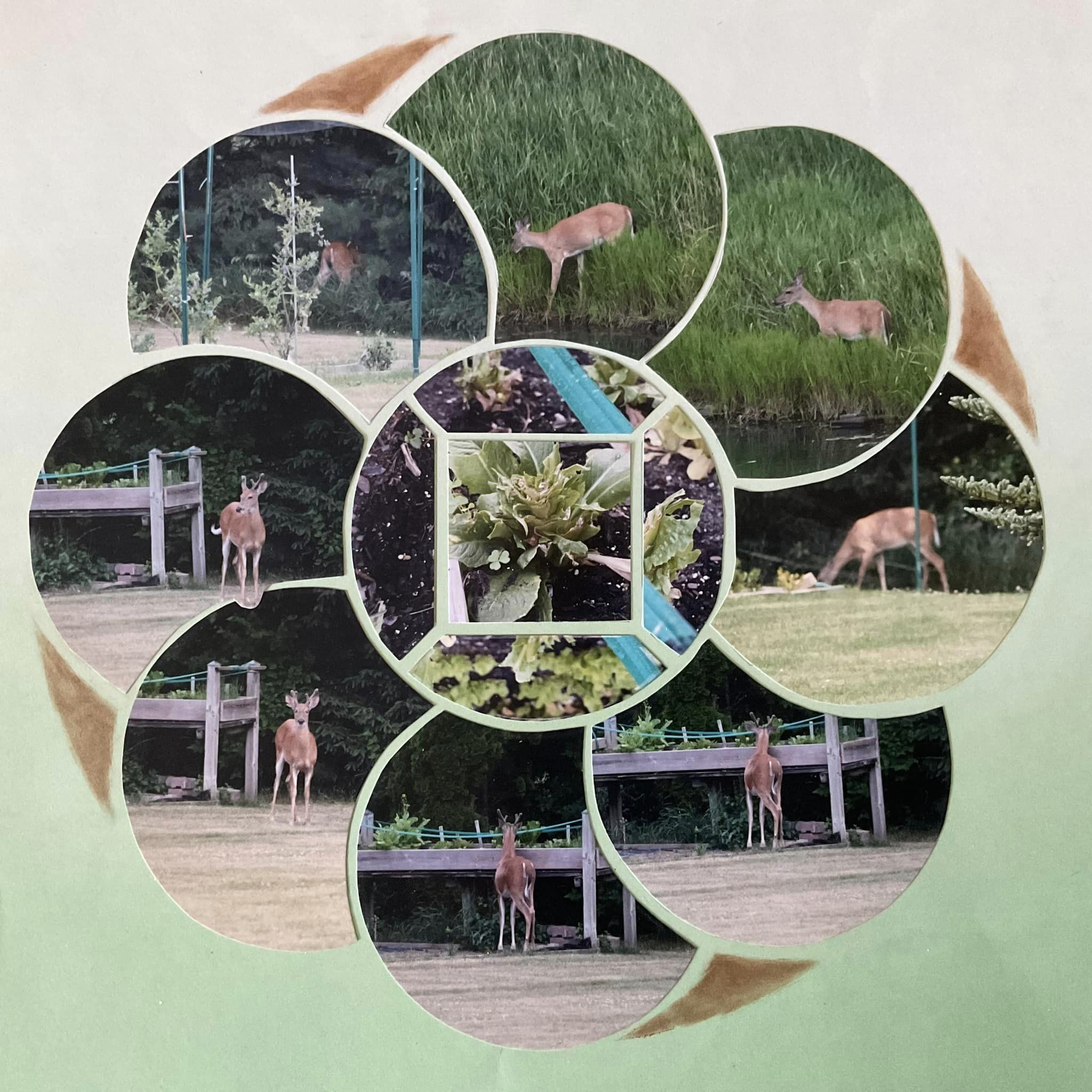 Interlocking Circles 16 – Linda West