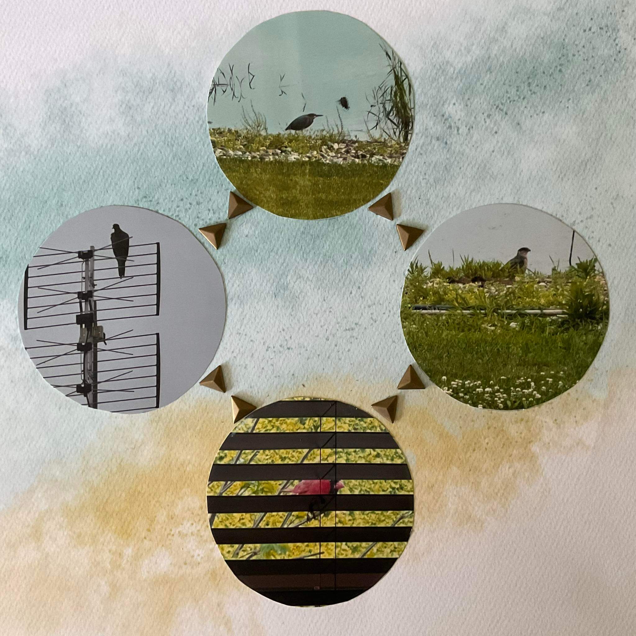 Interlocking Circles 23 – Linda West