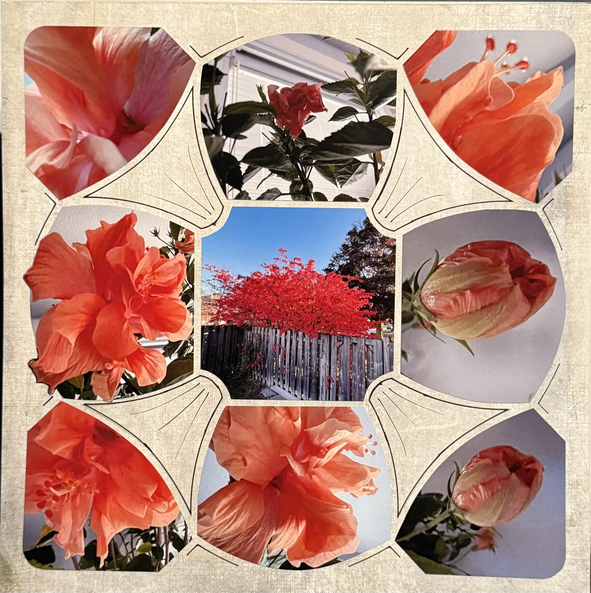 Beach Umbrella 48 – Janet Oegema